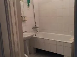 Частый Дом, Дача