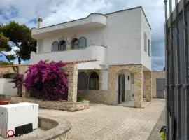 La casa delle isole