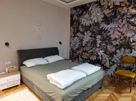 Apartman Sova