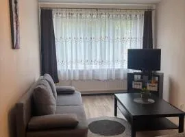 1 room apartment in Statybininku pr.