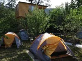 Tree House & Camping Goris