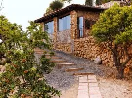 Jardines de Ifonche