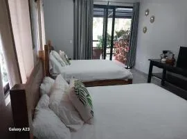 Casa Honey