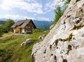 Apartmaji pr` Brdarju