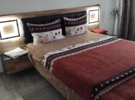 Apartament Manu 2 dormitoare