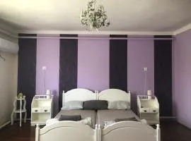 Dancz Home