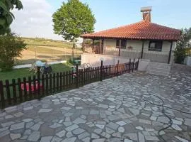 Erifily's House