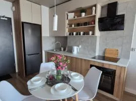 VizzitUs Premium Apartament Łódź Manufaktura