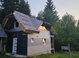 planinska Priča