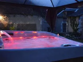Charmant gîte au cœur du Berry avec jacuzzi et terrasse - FR-1-591-757