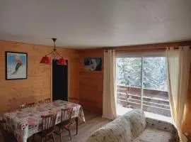 Appartement chalet rénové proche pistes, 2 chambres - FR-1-787-129