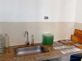 Los teros