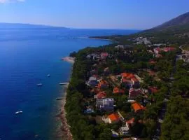 Stunning Bol Villa 4 Bedrooms Villa Zlatni Rat Stunning Location 5M From The Sea & 150M From Resort Centre Brac