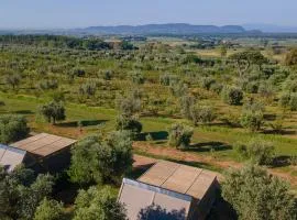 Agriturismo Glamping L'Olivo Country Holidays