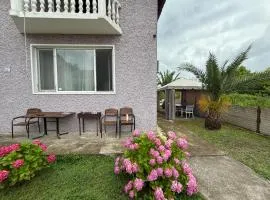 Grigoleti Relax Cottage