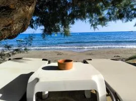 Kamara 2