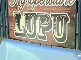 Agropensiune Lupu