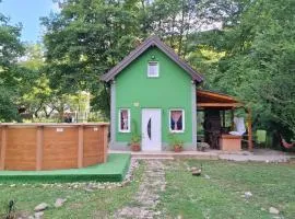Green House