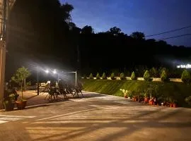 龜在銅三
