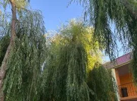 Turist Ailəvi İstirahət Mərkəzi