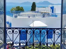 Dar El Aalia Sea View Stay in Iconic Sidi Bou Saïd