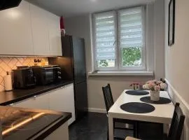 Apartament Rodzinny - Classic Olszowa