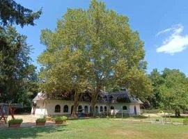 Garden Szálláshely