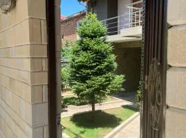 Doctor's House