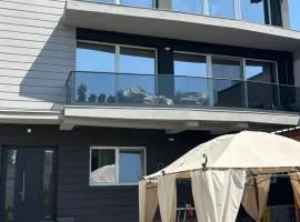 Vila Costin - camere de închiriat