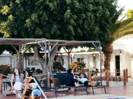 The Tree House Tenerife