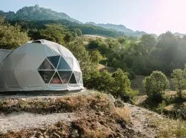 Ursa Camp