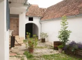 dasFritsch-Historisches Weinbauernhaus im Grünen