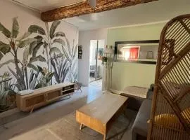 Appartement T2 centre historique
