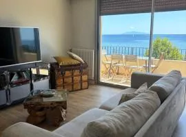 Appartement face à la mer