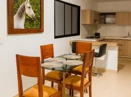 Hermoso Apartamento Amoblado