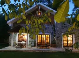 VILLa ENRIETTe - Panoramic Mountain Retreat in Pano Platres, Cyprus