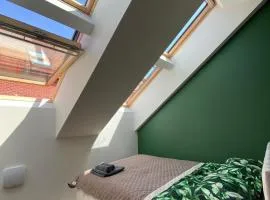 Luxury Old Town River Apartment