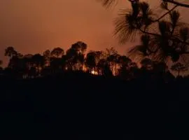Sunset View Forest Vibes Kasauli