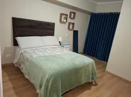 Ideal para familias y viajeros, amplio y céntrico