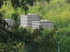 3 Zimmer Apartment Kostenfreien WLAN, hotel in Bad Harzburg