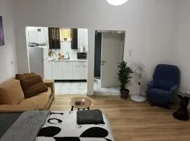 Mishmar HaGvul 9, Apartment 5