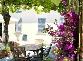 The Tuscany Rose