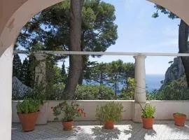 Elegant Capri Retreat with Garden Sea Access and Panoramic Terrace