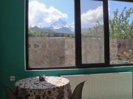 Shushabandi Kazbegi