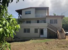 Tropical Westend Oasis