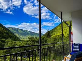 White House In Borjomi, hotel v mestu Borjomi