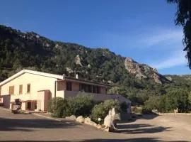 Agriturismo Monte Pino