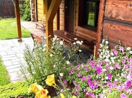 Apartament w Bieszczadach - Willa Stasia, hotel in Ustianowa