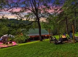 10-Acre Cabin Sauna, Hot Tub, Game Room, Stargazing Dome, EV, BBQ