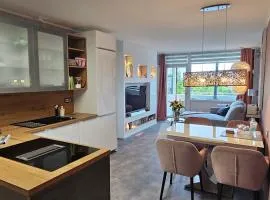 Harz High End Fewo Exklusiv 5 Sterne DTV